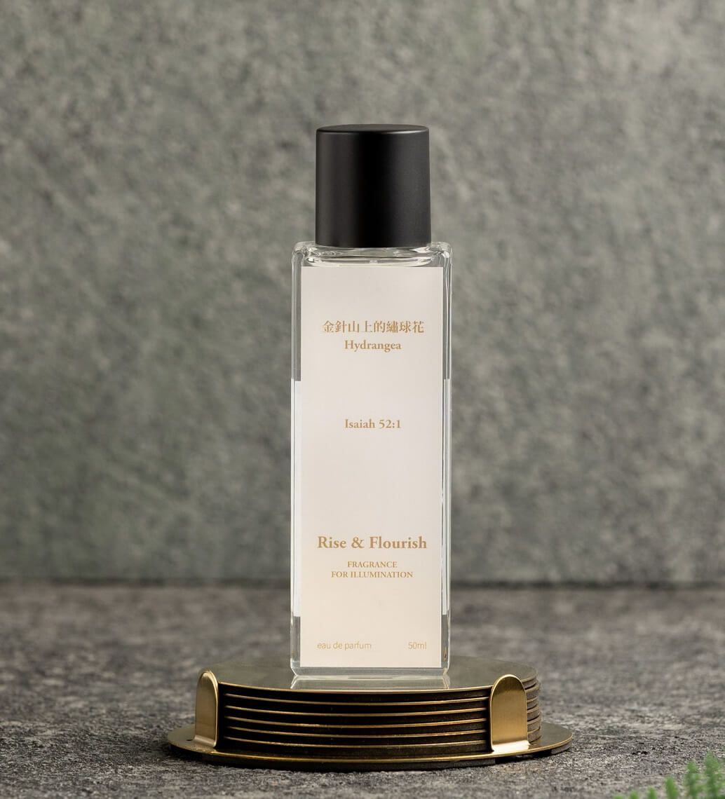 金針山上的繡球花 Hydrangea